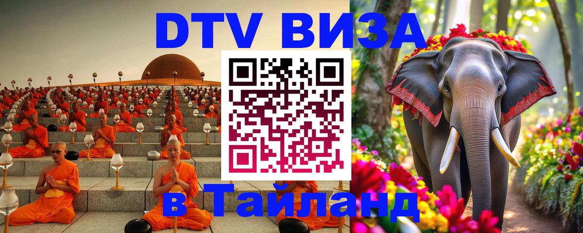 Сколько стоит DTV виза — актуальные цены, оформление даже без документов - 24.12.2025 